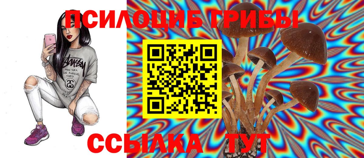 Псилоцибиновые грибы прущие грибы  Вход с VPN  Морозовск 